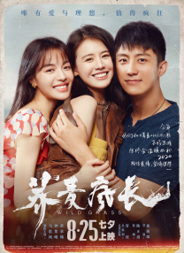 成人在线综合